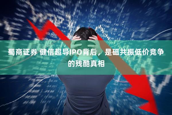 蜀商证券 健信超导IPO背后，是磁共振低价竞争的残酷真相