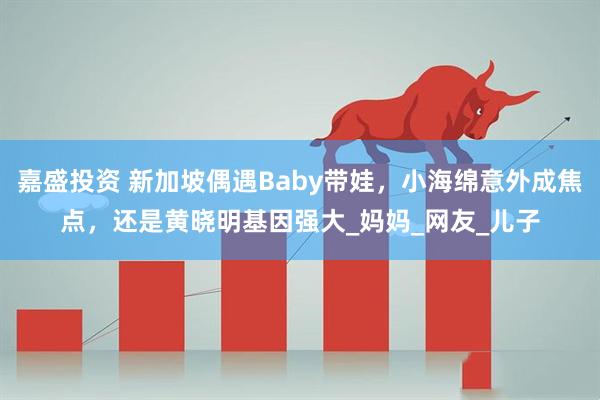 嘉盛投资 新加坡偶遇Baby带娃，小海绵意外成焦点，还是黄晓明基因强大_妈妈_网友_儿子